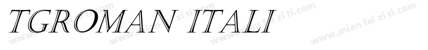 TGRoman Itali字体转换